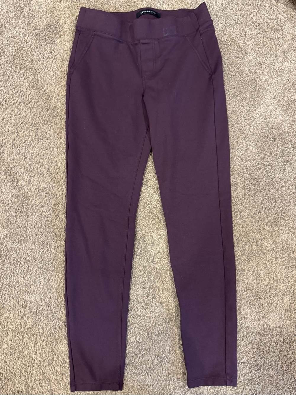 Plum Liverpool Business Casual Jeggings— US 8